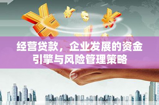 观音经营贷款，企业发展的资金引擎与风险管理策略
