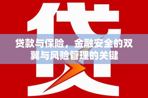观音贷款与保险，金融安全的双翼与风险管理的关键