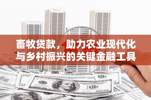 观音畜牧贷款，助力农业现代化与乡村振兴的关键金融工具