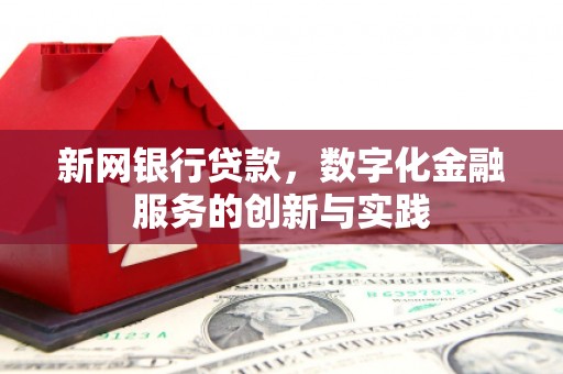 观音新网银行贷款，数字化金融服务的创新与实践