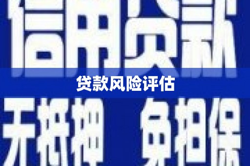 观音贷款风险评估
