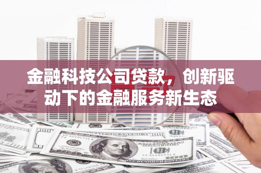 观音金融科技公司贷款，创新驱动下的金融服务新生态