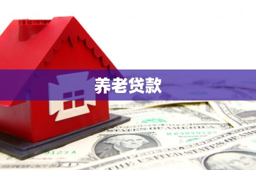 观音养老贷款