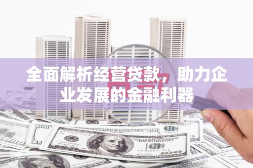 观音全面解析经营贷款，助力企业发展的金融利器
