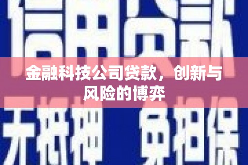 观音金融科技公司贷款，创新与风险的博弈
