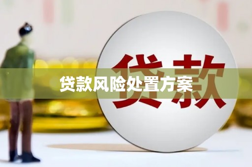 观音贷款风险处置方案
