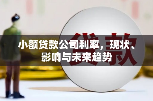 观音小额贷款公司利率，现状、影响与未来趋势
