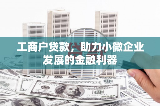 观音工商户贷款，助力小微企业发展的金融利器