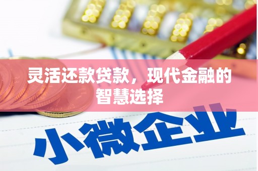 观音灵活还款贷款，现代金融的智慧选择