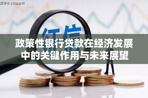 观音政策性银行贷款在经济发展中的关键作用与未来展望