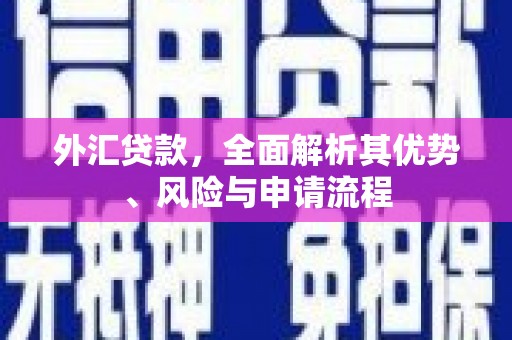 观音外汇贷款，全面解析其优势、风险与申请流程