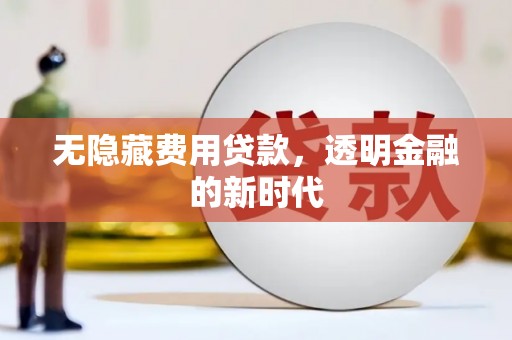 观音无隐藏费用贷款，透明金融的新时代