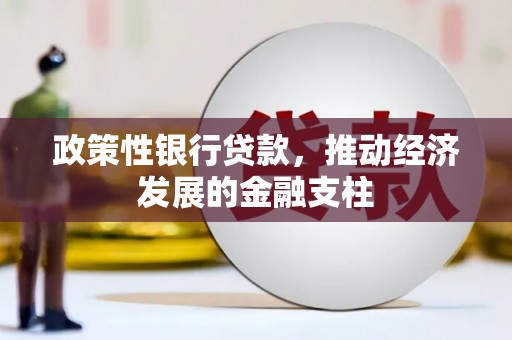 观音政策性银行贷款，推动经济发展的金融支柱