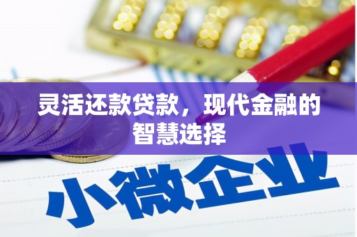 观音灵活还款贷款，现代金融的智慧选择