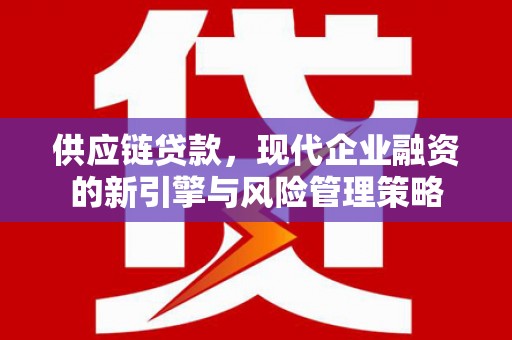 观音供应链贷款，现代企业融资的新引擎与风险管理策略
