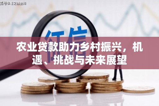 观音农业贷款助力乡村振兴，机遇、挑战与未来展望