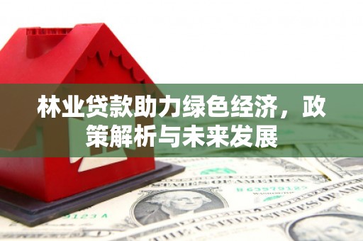 观音林业贷款助力绿色经济，政策解析与未来发展