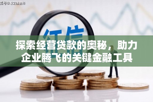 观音探索经营贷款的奥秘，助力企业腾飞的关键金融工具