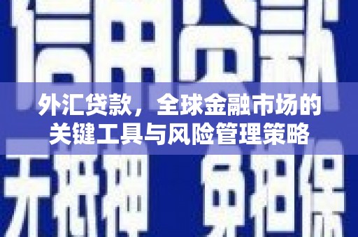 观音外汇贷款，全球金融市场的关键工具与风险管理策略
