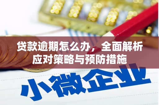 观音贷款逾期怎么办，全面解析应对策略与预防措施