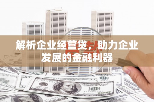观音解析企业经营贷，助力企业发展的金融利器