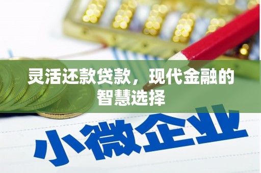 观音灵活还款贷款，现代金融的智慧选择