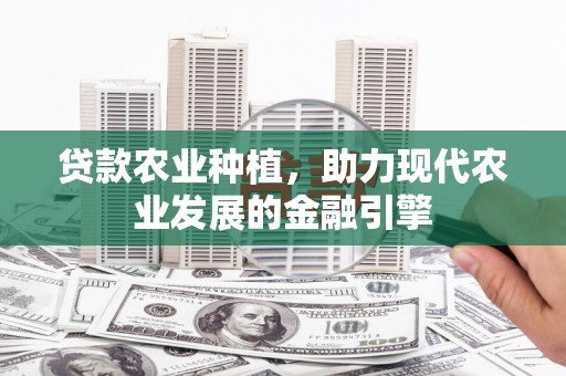 观音贷款农业种植，助力现代农业发展的金融引擎