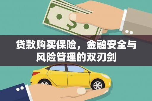 观音贷款购买保险，金融安全与风险管理的双刃剑