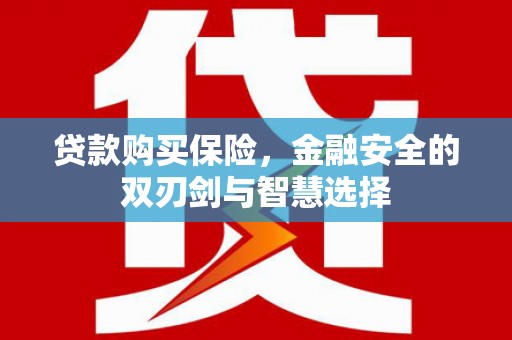 观音贷款购买保险，金融安全的双刃剑与智慧选择