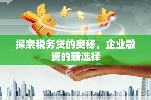 观音探索税务贷的奥秘，企业融资的新选择