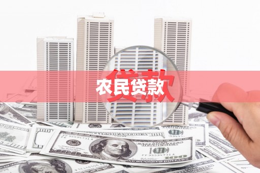 观音农民贷款