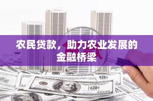 观音农民贷款，助力农业发展的金融桥梁