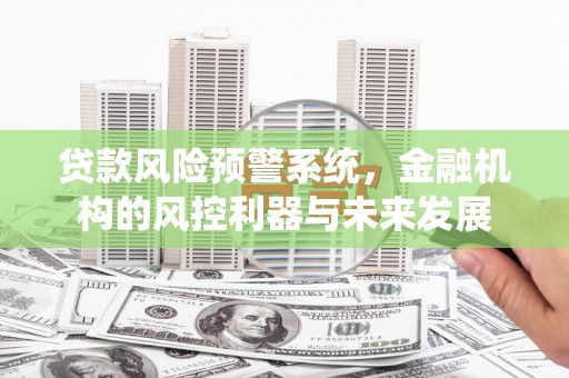 观音贷款风险预警系统，金融机构的风控利器与未来发展