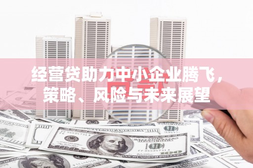 观音经营贷助力中小企业腾飞，策略、风险与未来展望