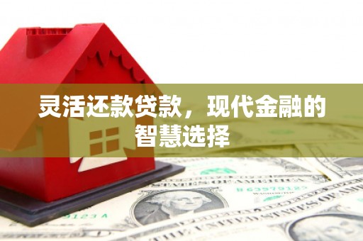 观音灵活还款贷款，现代金融的智慧选择