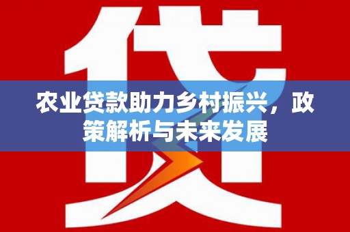 观音农业贷款助力乡村振兴，政策解析与未来发展
