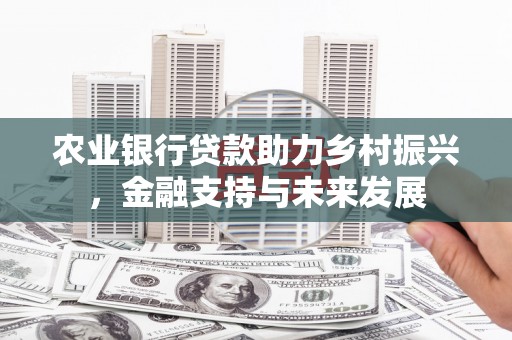 观音农业银行贷款助力乡村振兴，金融支持与未来发展