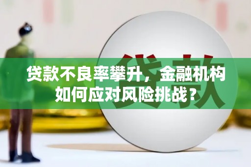 观音贷款不良率攀升，金融机构如何应对风险挑战？