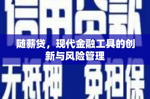 观音随薪贷，现代金融工具的创新与风险管理