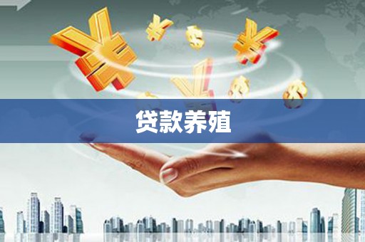 观音贷款养殖