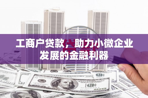 观音工商户贷款，助力小微企业发展的金融利器
