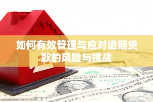观音如何有效管理与应对逾期贷款的风险与挑战