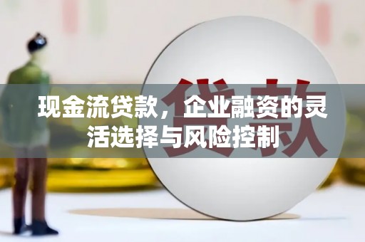 观音现金流贷款，企业融资的灵活选择与风险控制