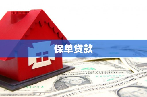 观音保单贷款