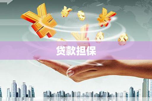 观音贷款担保