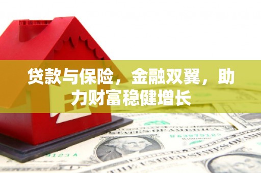 观音贷款与保险，金融双翼，助力财富稳健增长