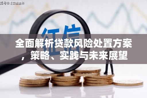 观音全面解析贷款风险处置方案，策略、实践与未来展望