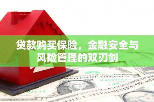 观音贷款购买保险，金融安全与风险管理的双刃剑
