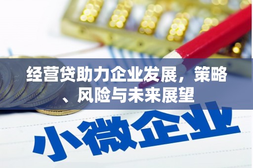 观音经营贷助力企业发展，策略、风险与未来展望