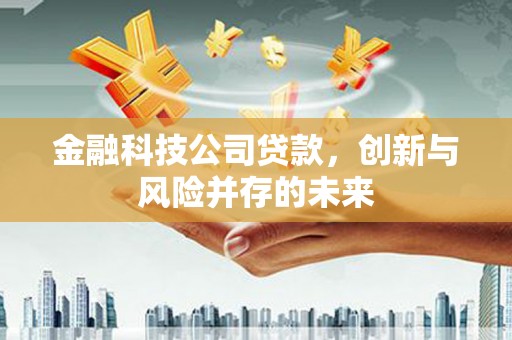观音金融科技公司贷款，创新与风险并存的未来